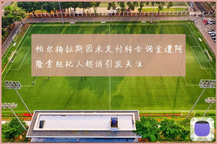 帕尔梅拉斯因未支付转会佣金遭阿隆索经纪人起诉引发关注
