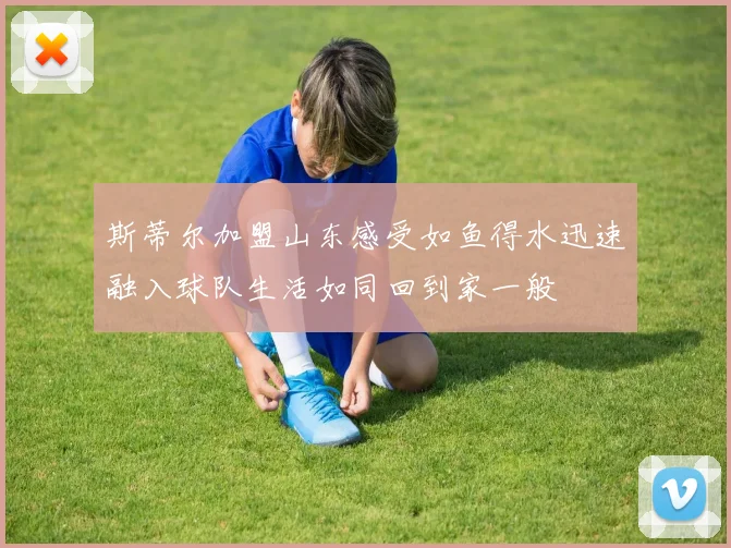 斯蒂尔加盟山东感受如鱼得水迅速融入球队生活如同回到家一般